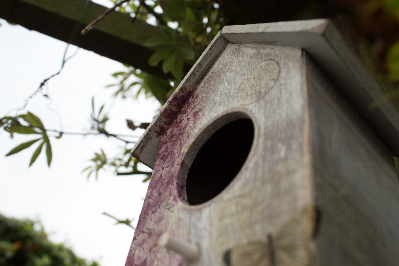 Simple DIY Birdhouses for Your Eco-Friendly Garden